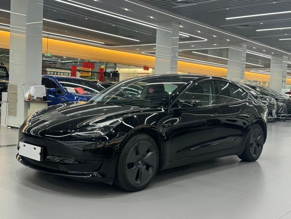 Tesla Model 3 2021 — фото автомобиля 1