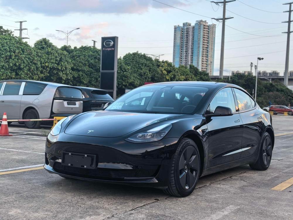 Tesla Model 3 2021 — фото автомобиля 1