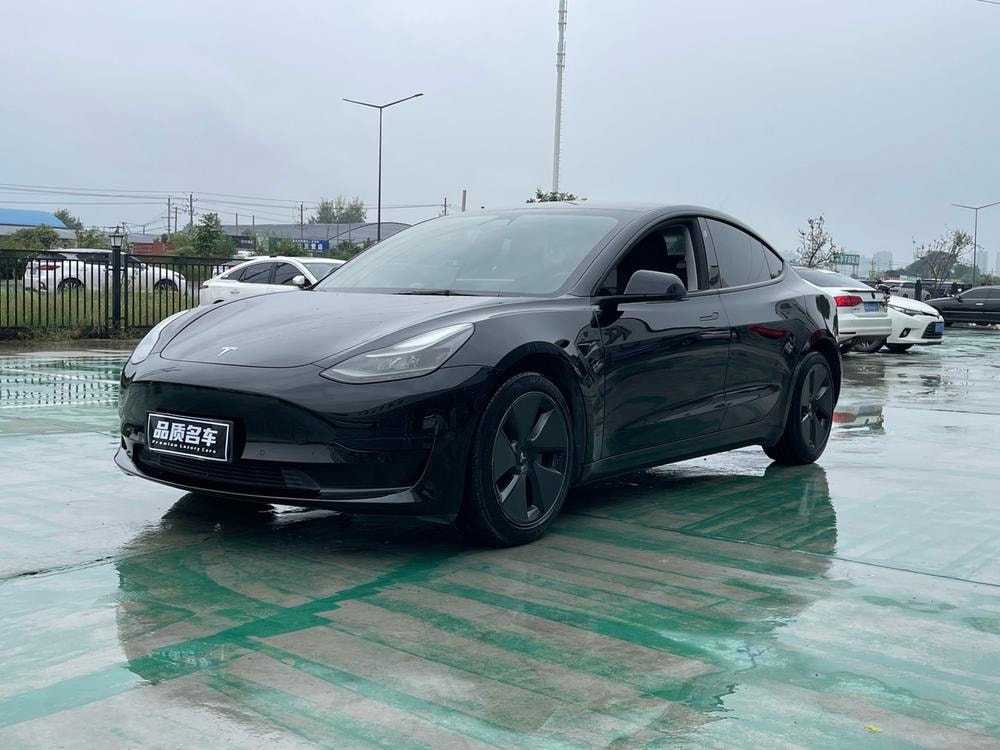 Tesla Model 3 2021 — фото автомобиля 1