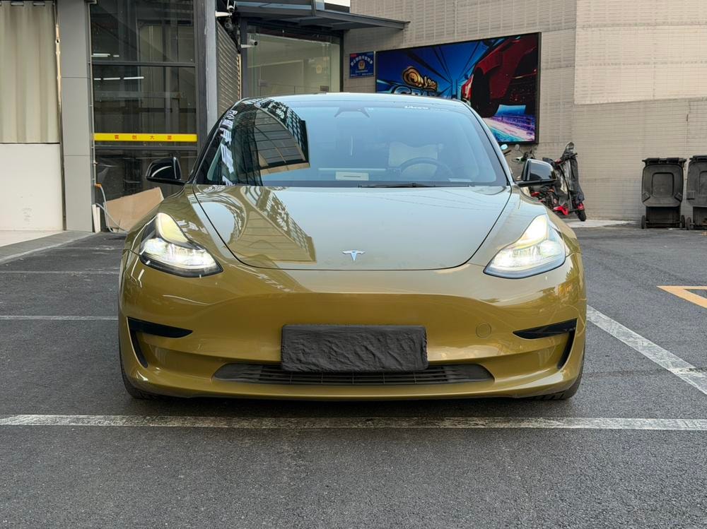 Tesla Model 3 2021 — фото автомобиля 1