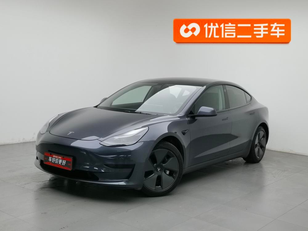 Tesla Model 3 2021 — фото автомобиля 1