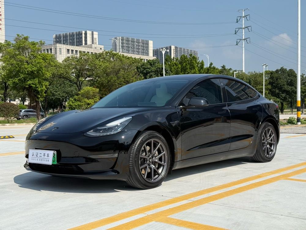 Tesla Model 3 (Import) 2019 — фото автомобиля 1