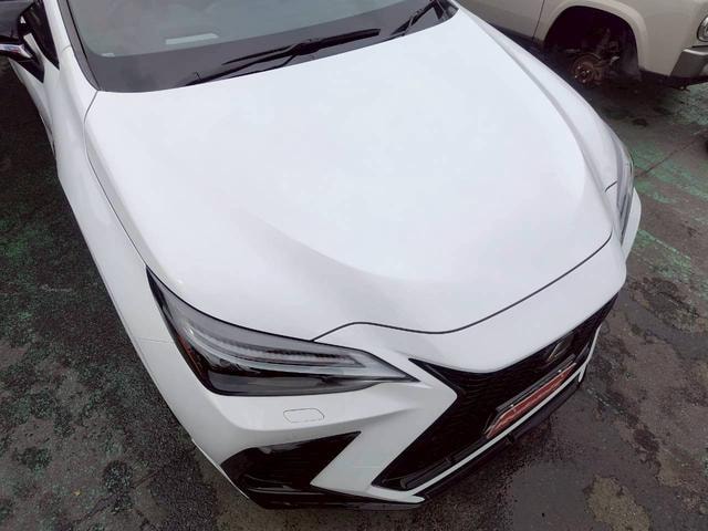 Миниатюра 30