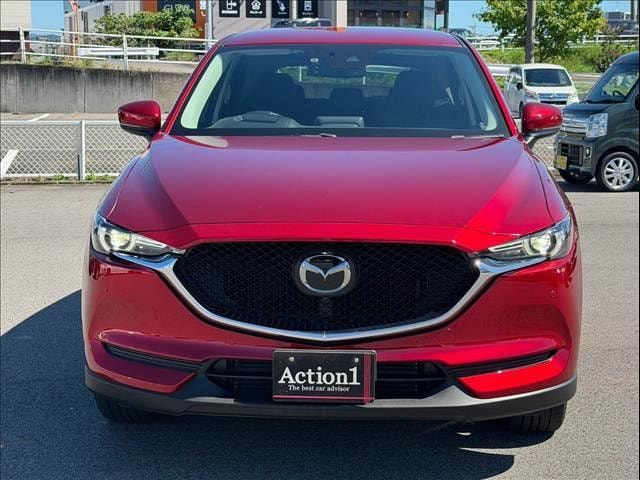 Миниатюра 36