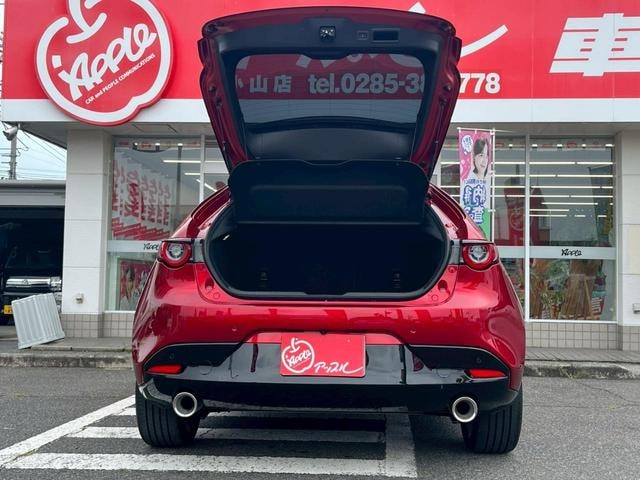 Миниатюра 39