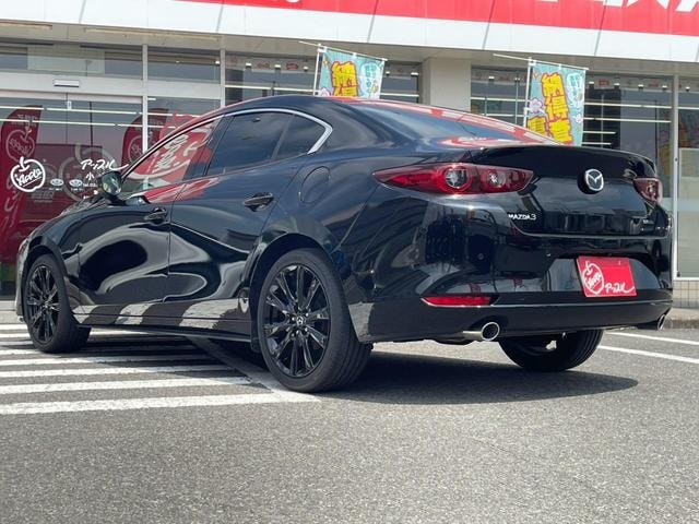 Миниатюра 19