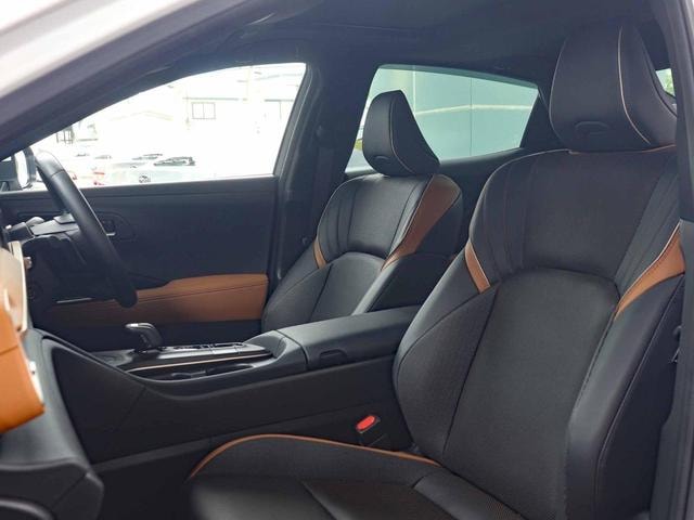 Миниатюра 30