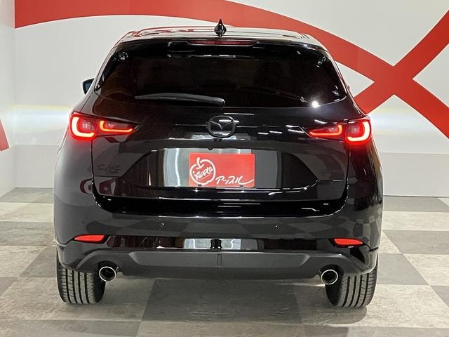 Миниатюра 62