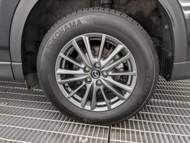 Миниатюра 48