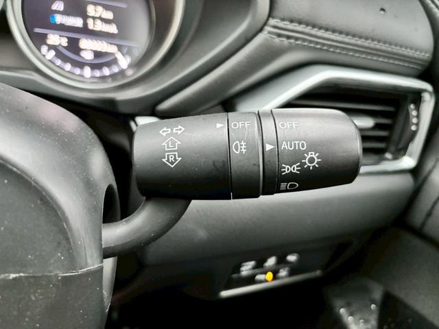 Миниатюра 38