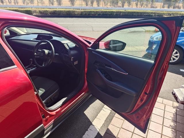 Миниатюра 19