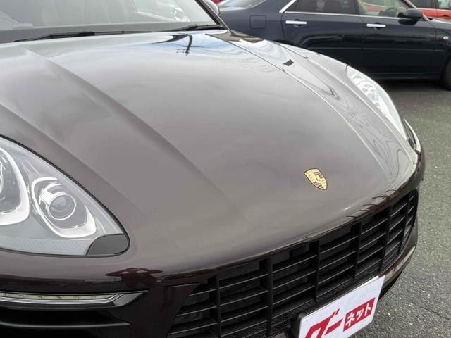 Миниатюра 16