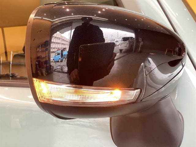 Миниатюра 38