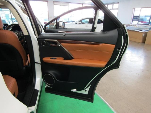 Миниатюра 43