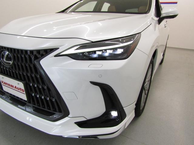 Миниатюра 58