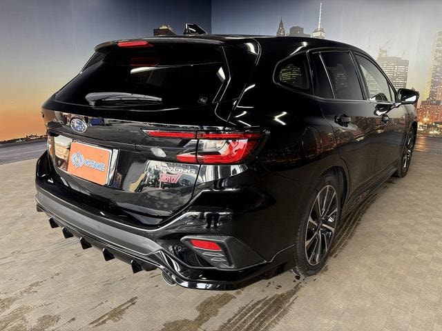Миниатюра 57