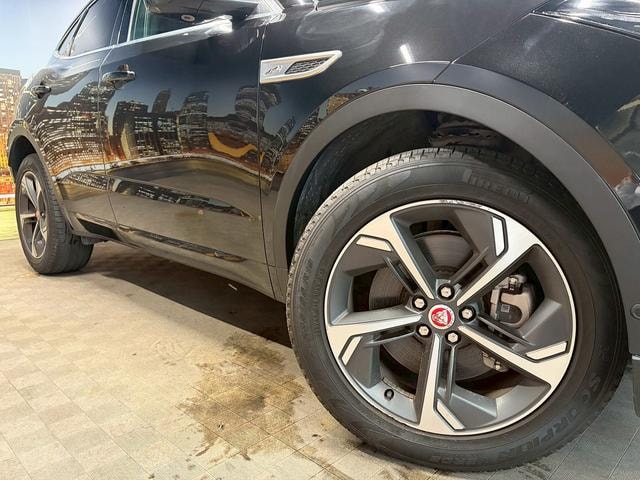 Миниатюра 13