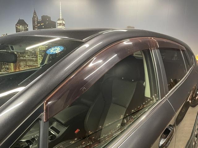 Миниатюра 33