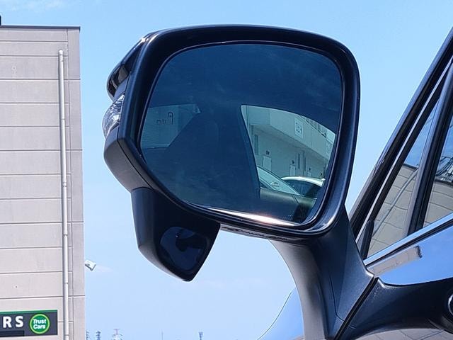 Миниатюра 55