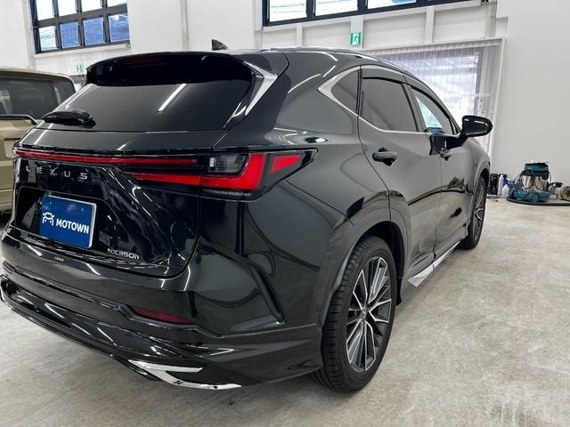 Миниатюра 9