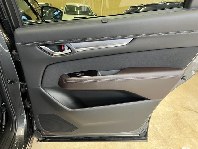 Миниатюра 52