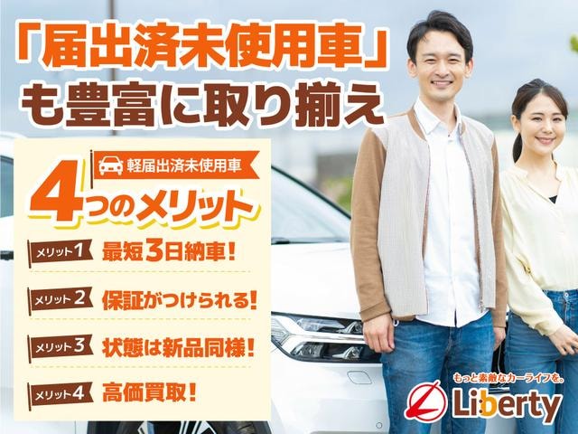 Миниатюра 53