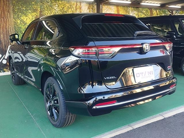Миниатюра 17