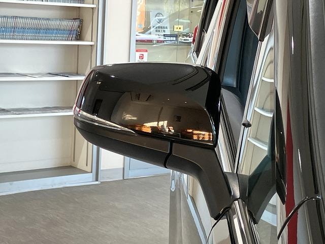 Миниатюра 47