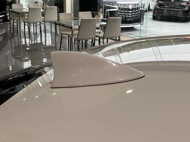 Миниатюра 55