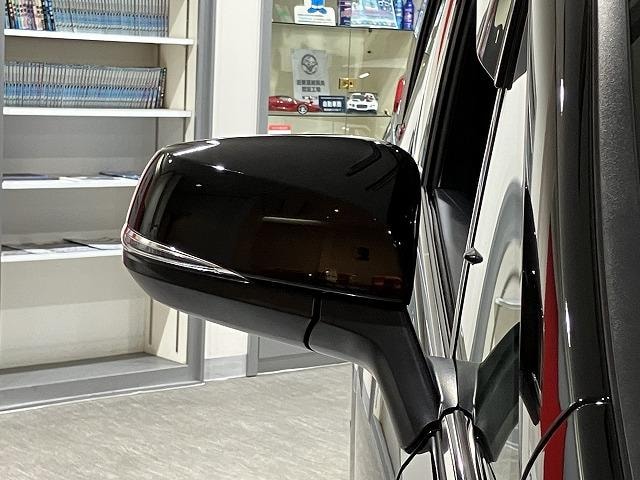 Миниатюра 48