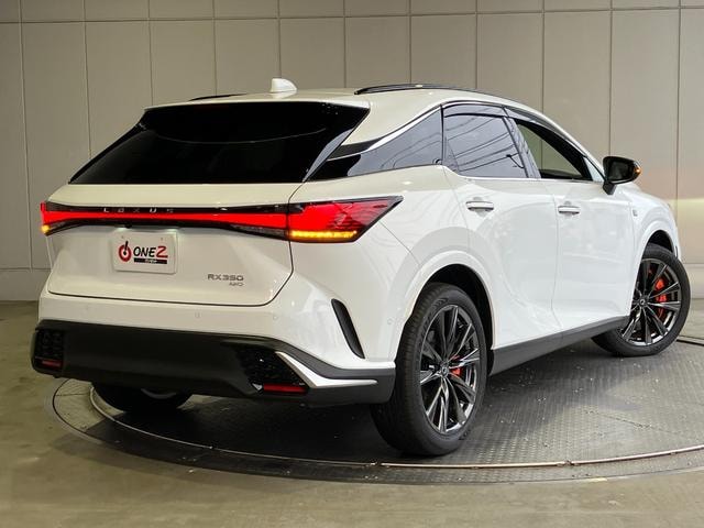 Миниатюра 31