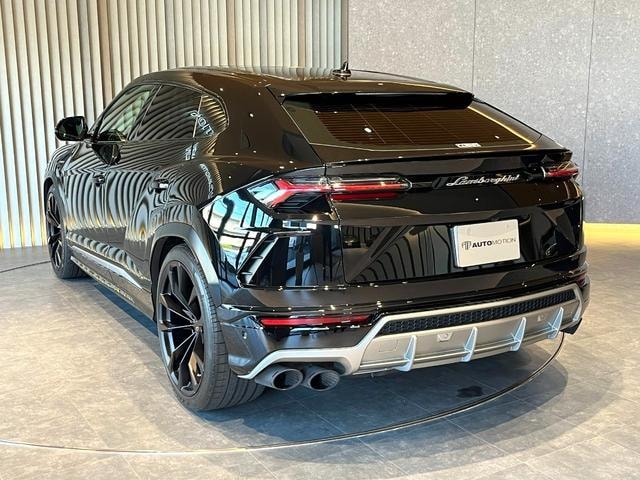 Миниатюра 31