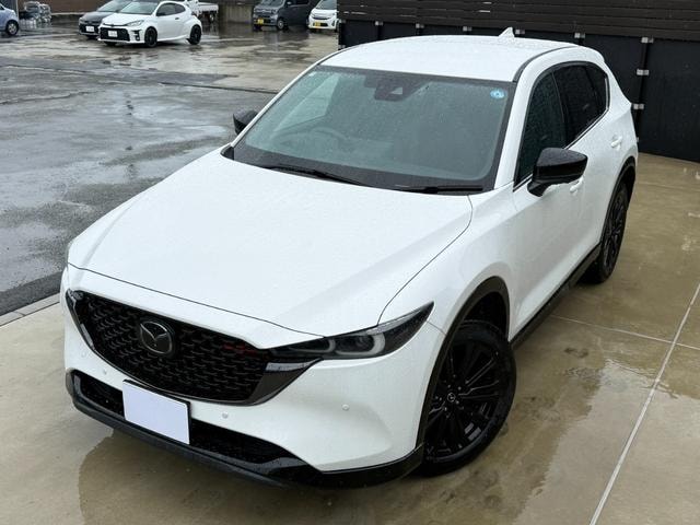 Миниатюра 11