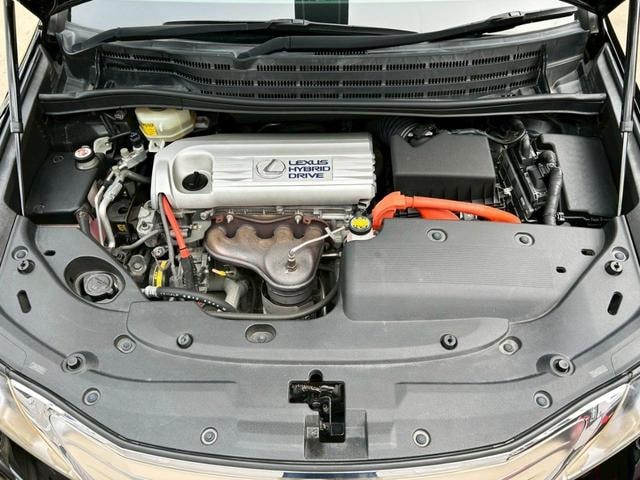 Миниатюра 13