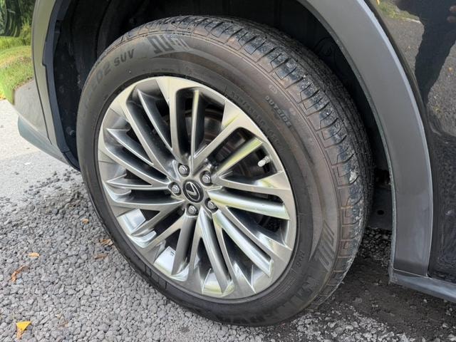 Миниатюра 29