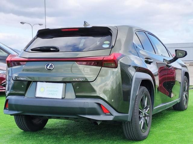 Миниатюра 17