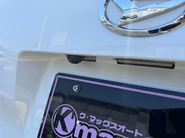 Миниатюра 17