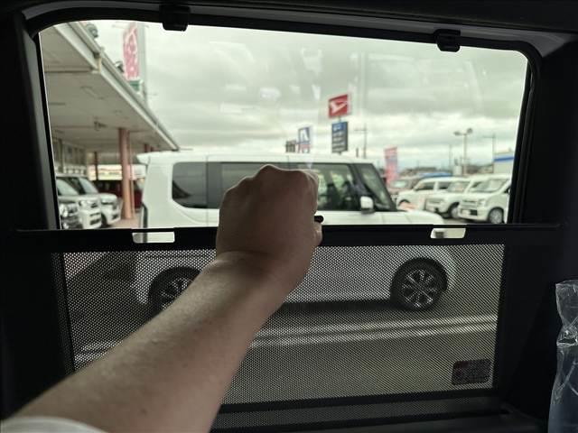 Миниатюра 55