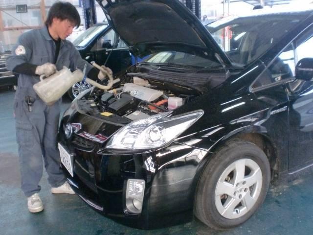 Миниатюра 24