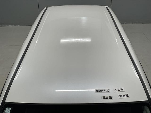 Миниатюра 51