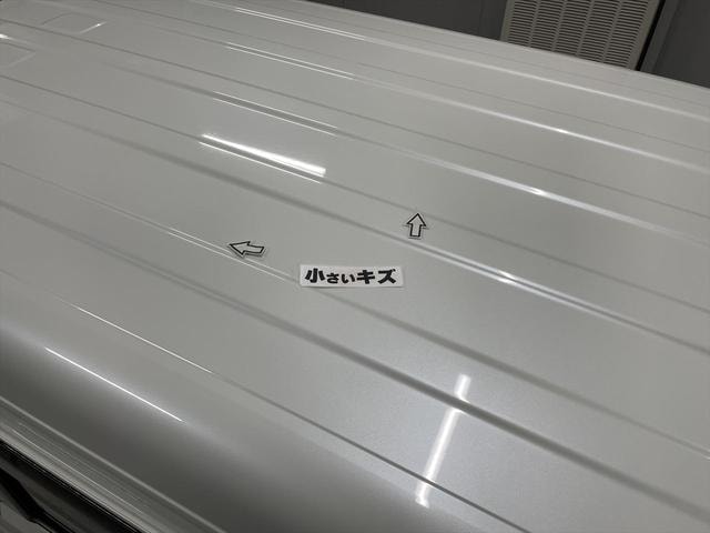 Миниатюра 66