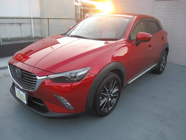 Миниатюра 7
