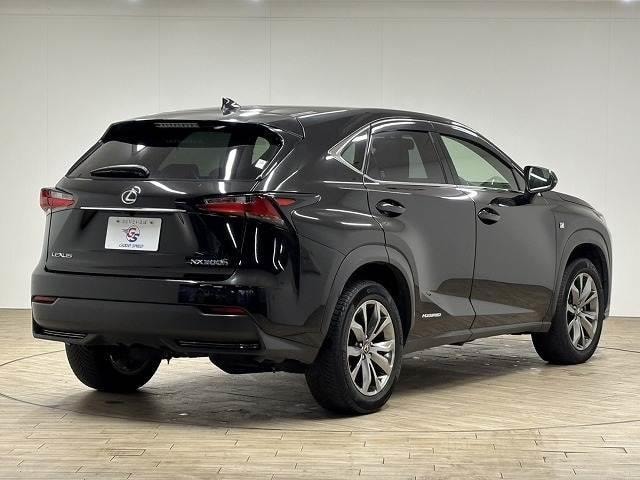 Миниатюра 16