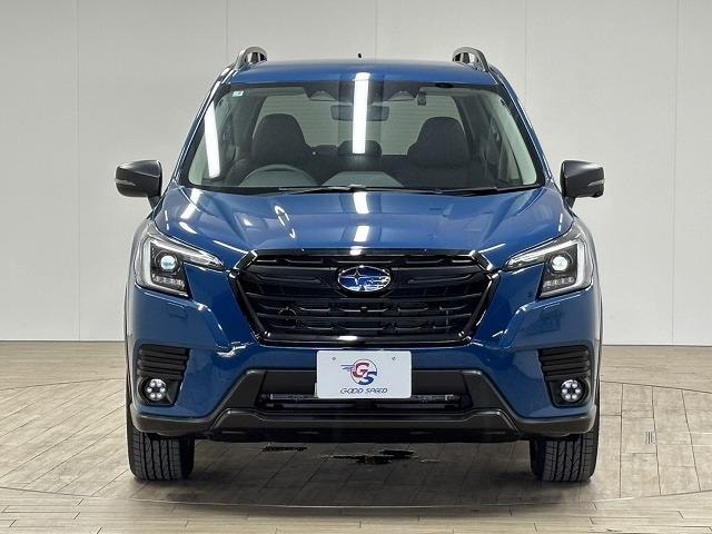 Миниатюра 28