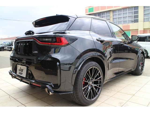 Миниатюра 17