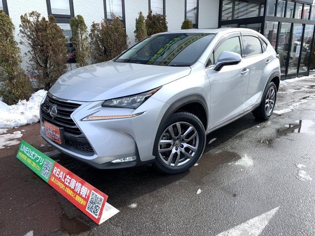 Lexus NX 2014 — фото автомобиля 1