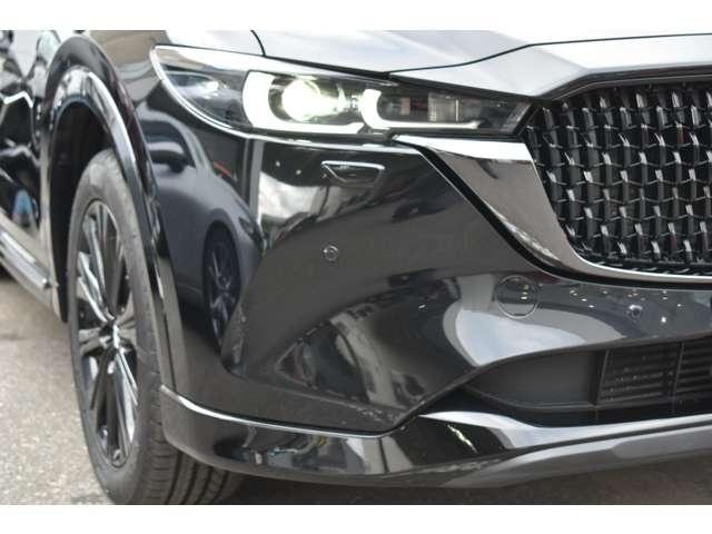 Миниатюра 17