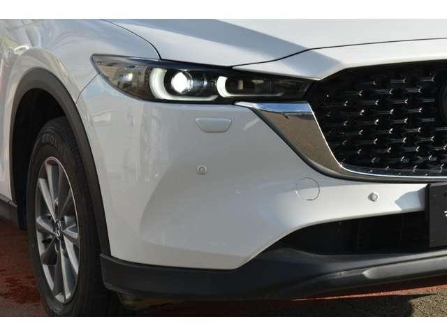Миниатюра 17