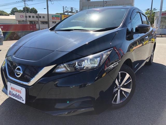 Nissan LEAF 2019 — фото автомобиля 1