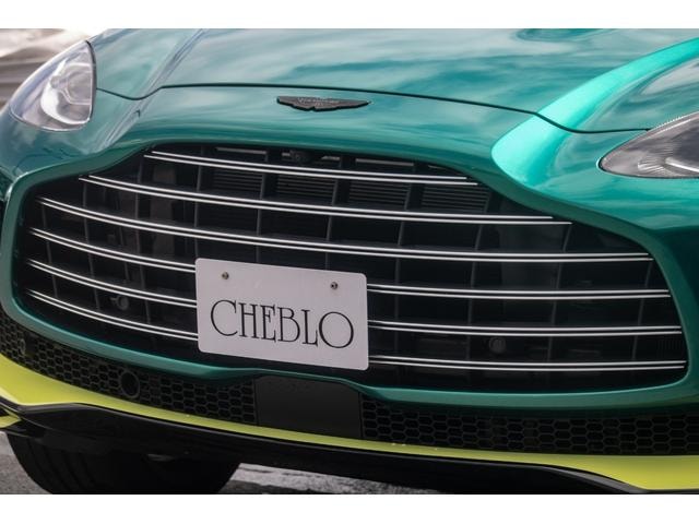Миниатюра 28